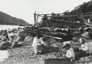 åletegner-nordstranden-FB